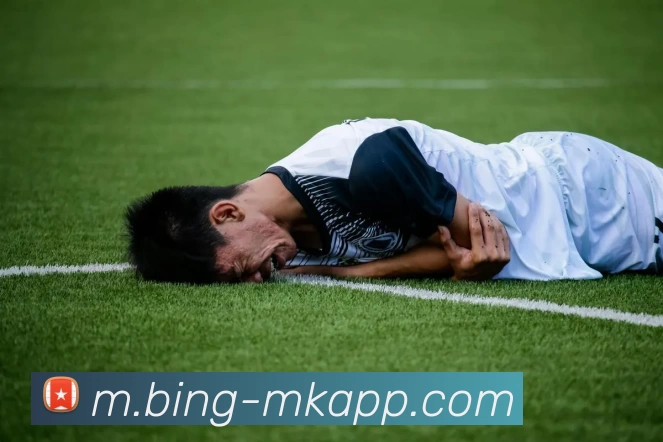 MK体育APP 封面图